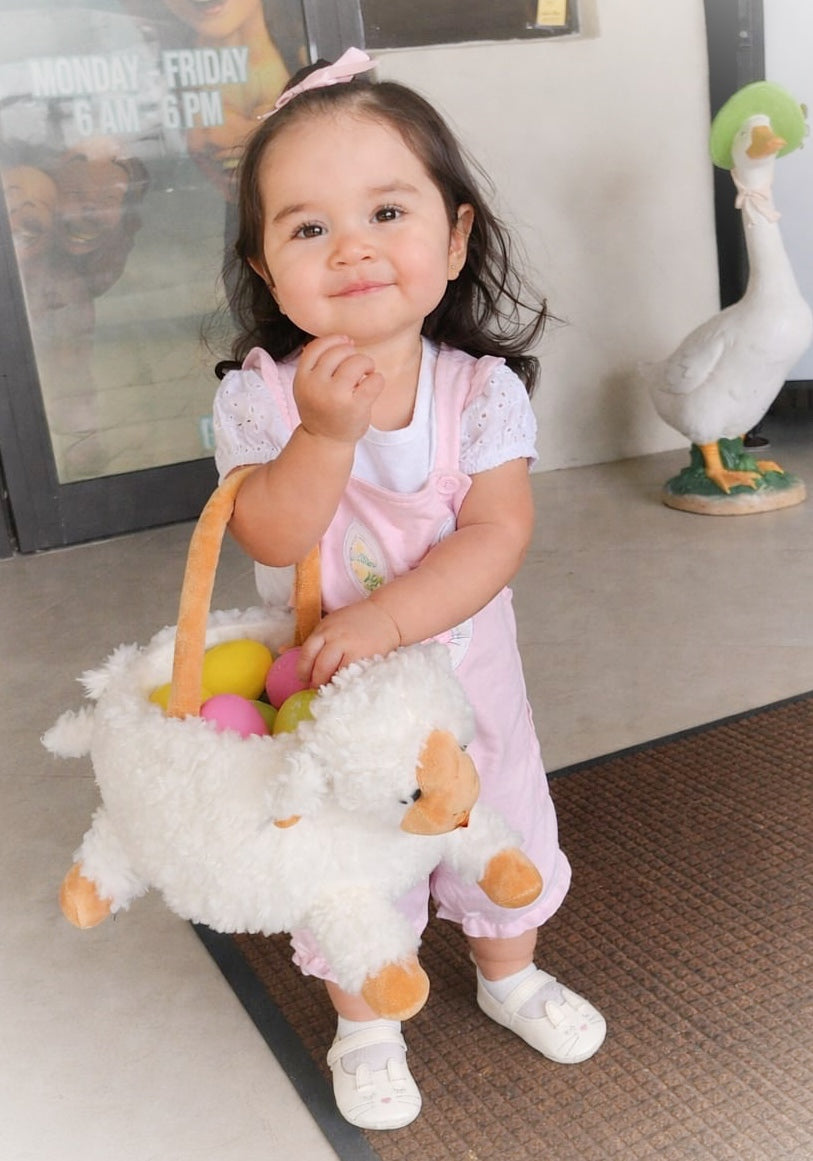 Set de Lazos Rosa Pastel